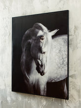 Orleans Furniture - Ashley Furniture - Archerwick Wall Decor - Wall Art / Black/White - A8000409